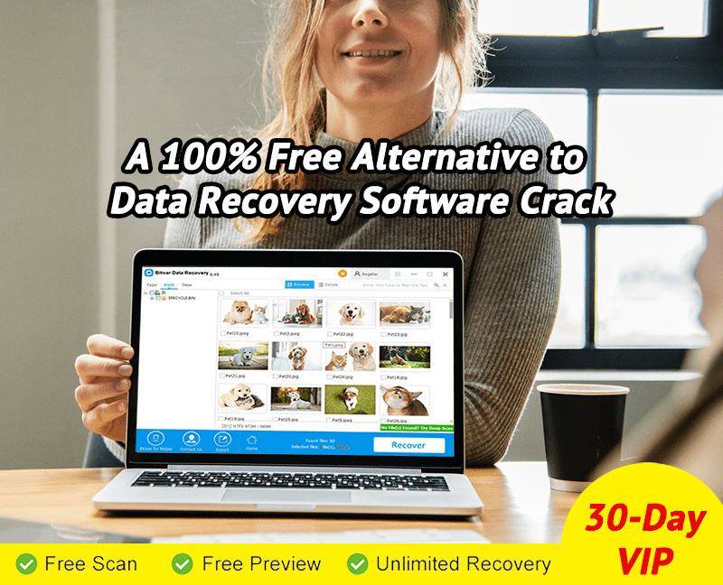 100% Kostenlose Datenwiederherstellungssoftware Pro Crack